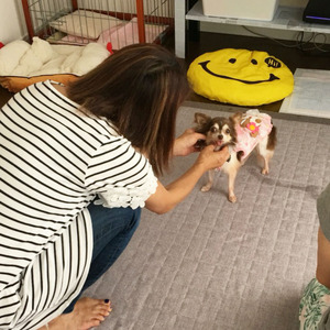 ももお届け4