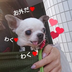 ぬく4