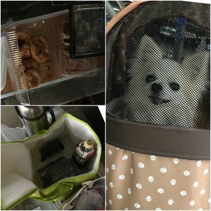 CollageMaker_20190421_180239383