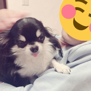 CollageMaker_20191120_213651434