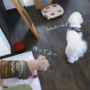 CollageMaker_20190812_211942260