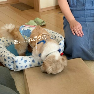 CollageMaker_20190829_153521726