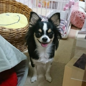 CollageMaker_20191029_203244549