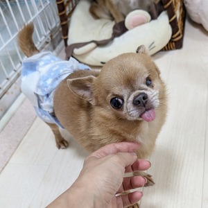 GridArt_20240715_183858655