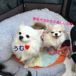 CollageMaker_20190319_220347305