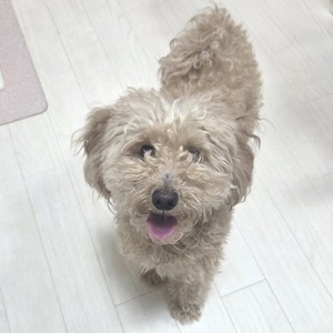 26-04-07-21-03-21-238_deco