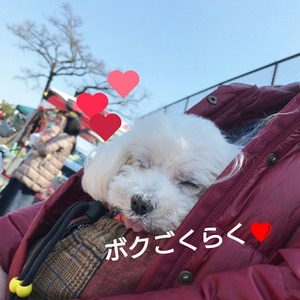 CollageMaker_20190319_220622932
