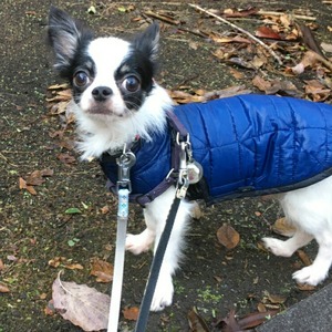 CollageMaker_20191030_214108479