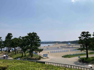 IMG_6049