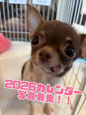 25-10-20-11-56-16-687_deco