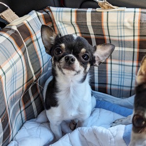 GridArt_20231208_223040567