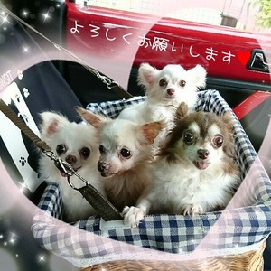 めもやゆ2
