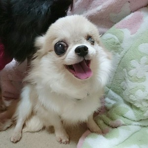 るり2