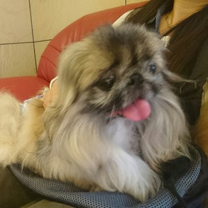 CollageMaker_20191028_120640362