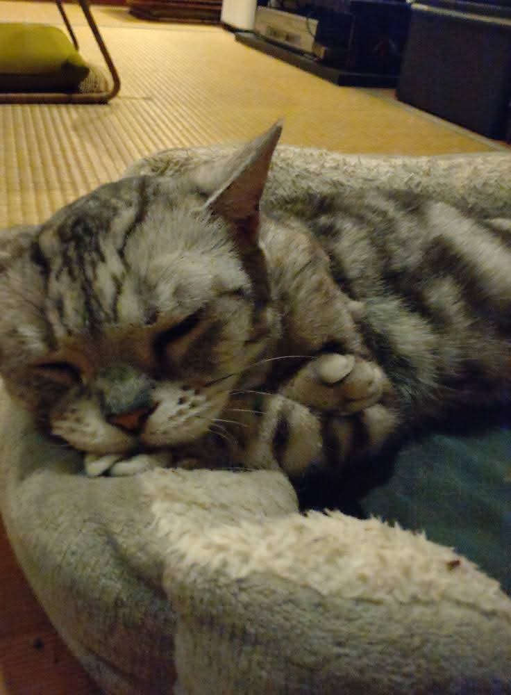 FB_IMG_1754819743659_20250810185614