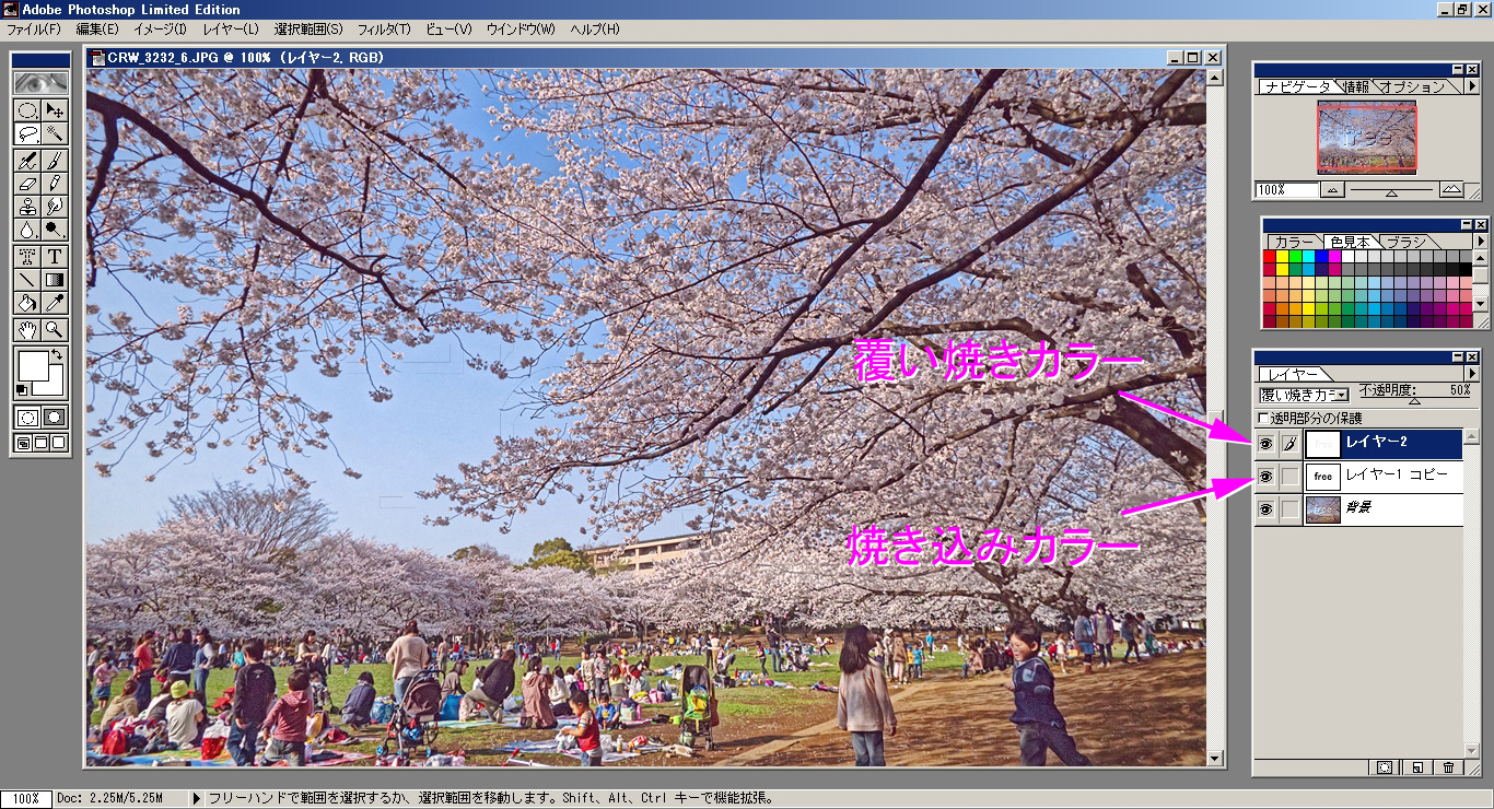 画像 写真 に入ってる文字のすかしは消せるのか消せないのか はやしのなか