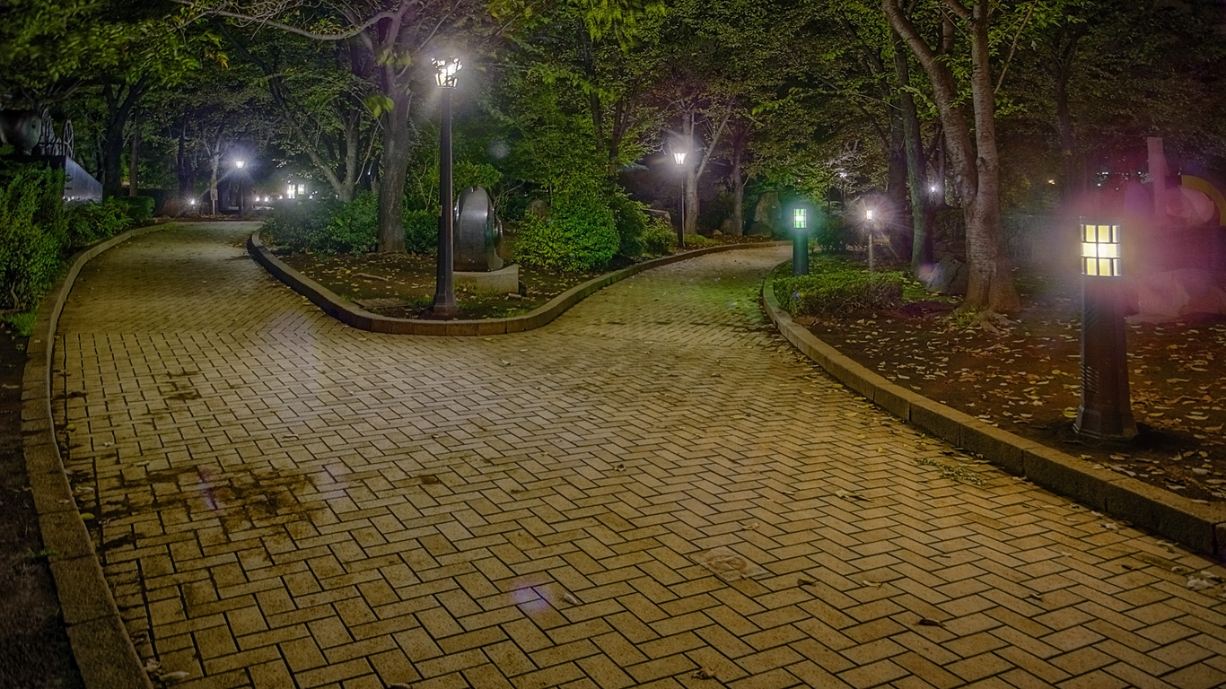 運命の分かれ道がっちり買いまショウみたいな感じのhdr はやしのなか 運命の分かれ道がっちり買いまショウみたいな感じのhdr はやしのなか