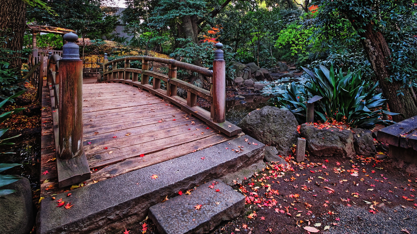 純和風の橋がある晩秋の庭園には派手な赤い葉っぱがとてもよく似合うという感じのｈｄｒ はやしのなか
