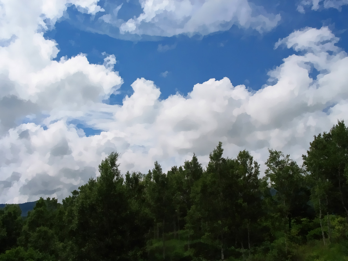 Fine Touch skech 写真をイラストや絵画のようにするソフト３種類を比較 Dynamic Auto Painter Pro 5 はやしのなか