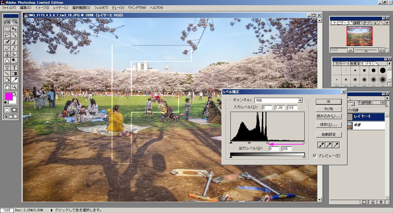 画像 写真 に入ってる文字のすかしは消せるのか消せないのか はやしのなか 画像 写真 に入ってる文字のすかしは消せるのか消せないのか はやしのなか