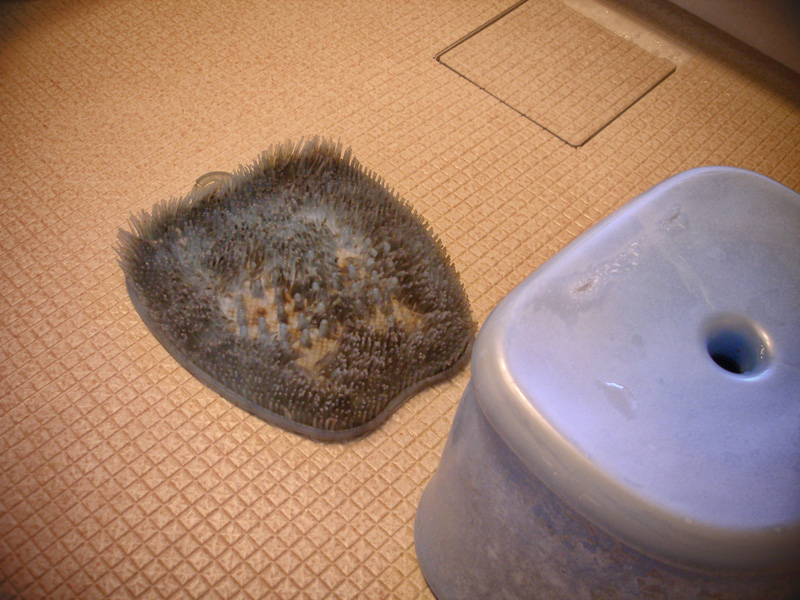 ほぼ１５年使った足洗いマットに別れを告げた日の巻 はやしのなか