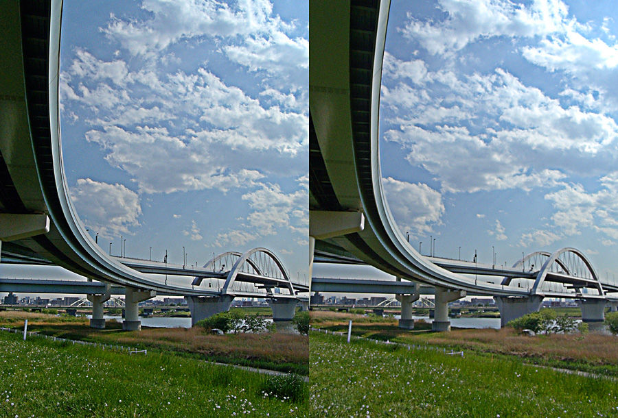 偽ｈｄｒのステレオ写真 はやしのなか