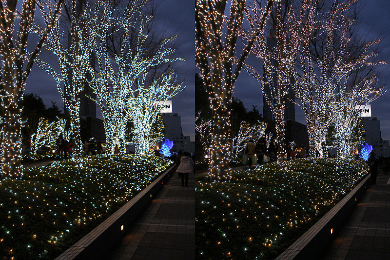 独特の上品 ツーヨン ビューティレースマスク T 59 ピンク ヘルスケア マスク 花粉対策グッズ 東急ハンズ Riosmauricio Com