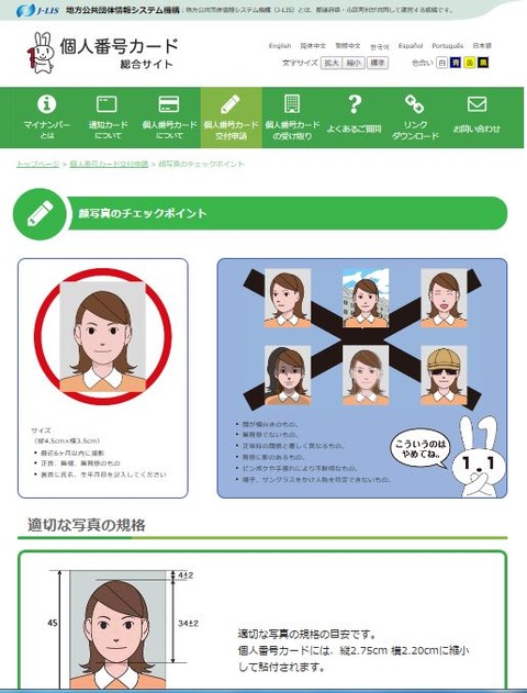 キャプチャ3