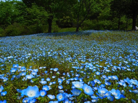P5030667