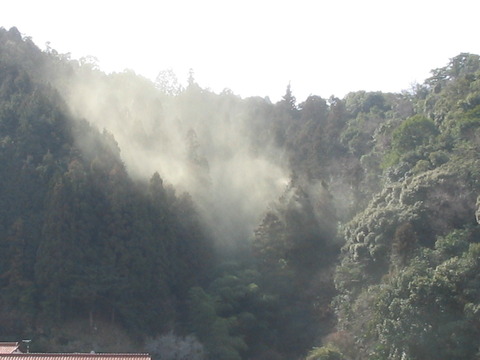 img_141776_7357865_0