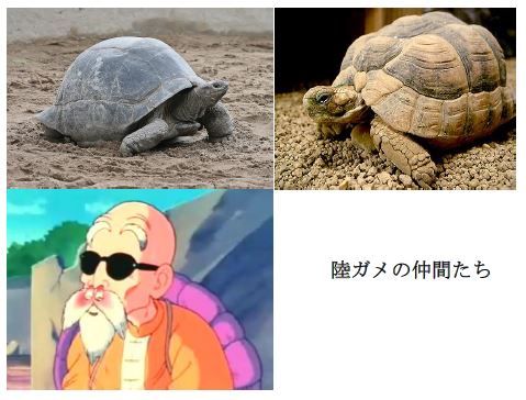 rikugame