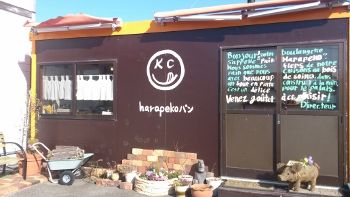 harapekopan