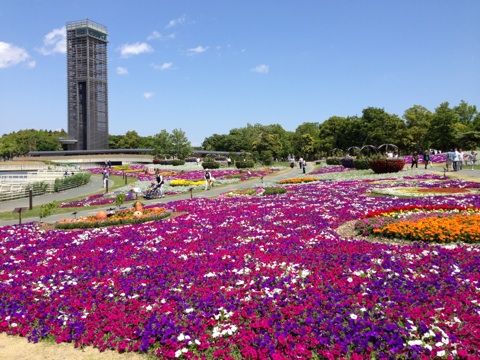 紫