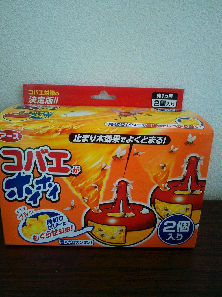 ハエ55