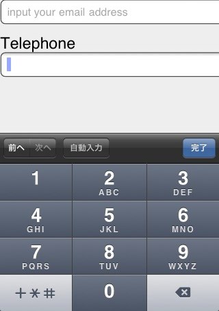 type="tel"
