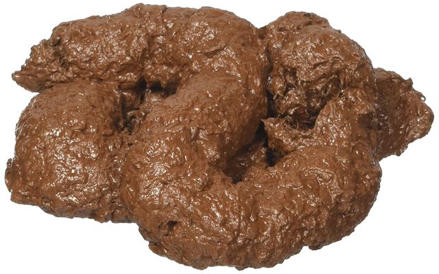 ちょっとしたいらずら ドッキリに 偽物うんちくん 肉食が面白いけど悪用注意 ちょっと先にあるもの探して ちょっとしたいらずら ドッキリに 偽物うんちくん 肉食が面白いけど悪用注意 ちょっと先にあるもの探して