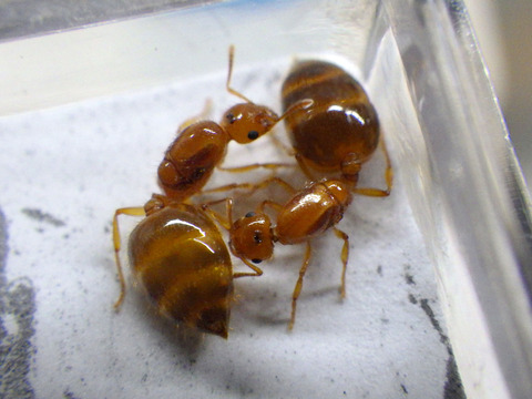RIMG5443_2