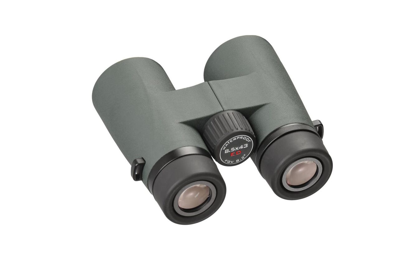 Pleasing 青雲 HR8x32WP＆HR8.5x43WP : 賞月観星