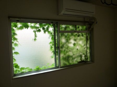 壁一面に張り付いた蔦の除去作業です ふぉるて上司ｓブログ