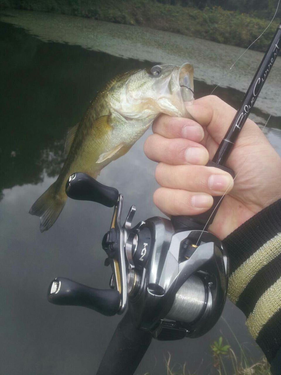 フローター釣行 18 10 26 野池 キッズとの生戯れ ゲーリーグラブ爆釣 青木大介プロ ゲーリーヤマモト ゲーリーグラブ 解説 動画 Hideの釣りブログ