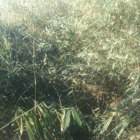 IMG_20190308_183059_550