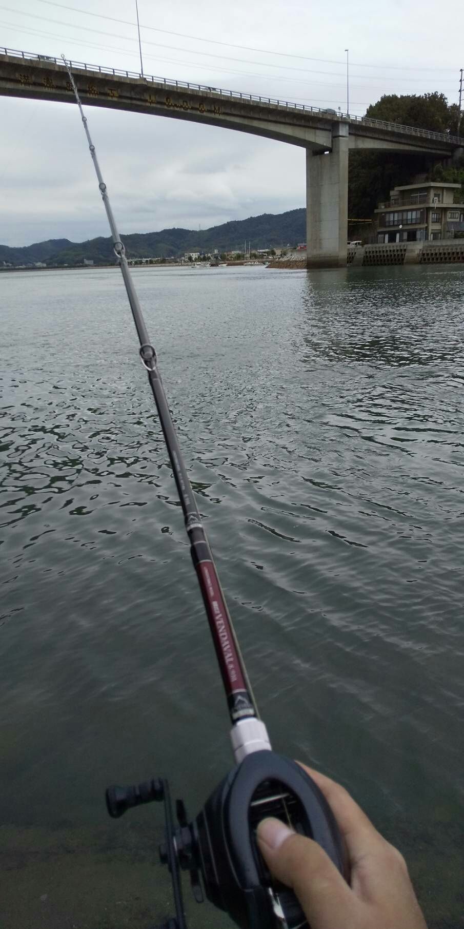 涙目のhide 笠岡市 神島 イイダコ釣り Hideの釣りブログ