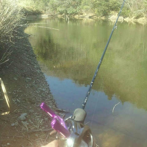 IMG_20190308_183059_549