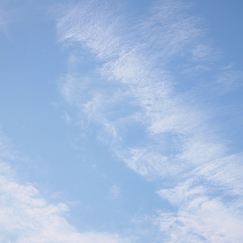 P8229580
