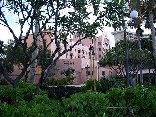 �������ϥ磻����ۥƥ�