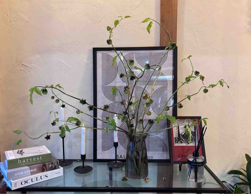 FullSizeRender