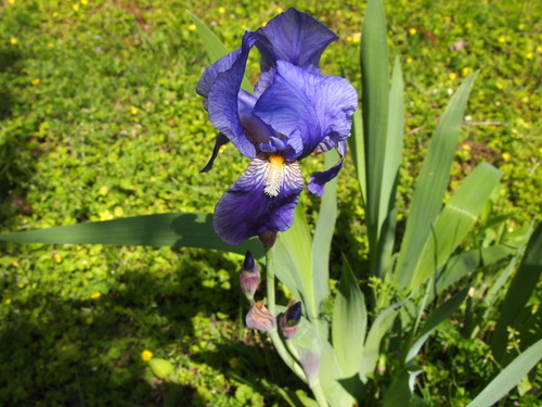 P1018021