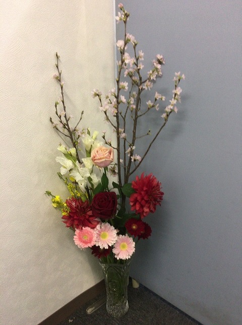 2月のお花