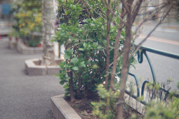 zenit_ir_100mm_m42_sony_a7