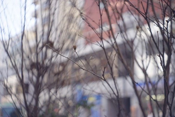 e_ludwig_peronar_v_50mm_exakta_sony_a7